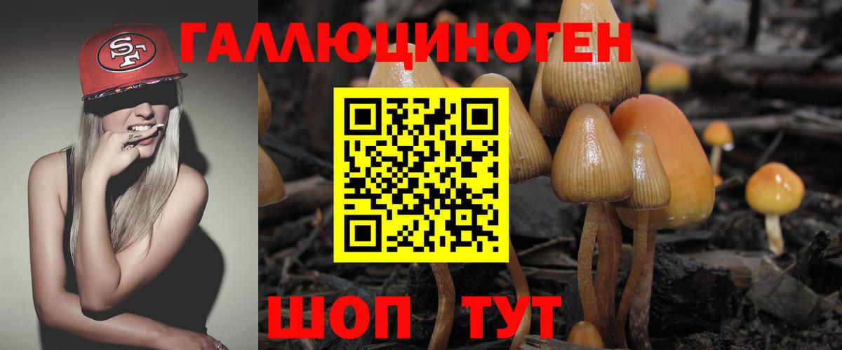 Михайловка  Псилоцибиновые грибы Psilocybe  Вход с VPN 